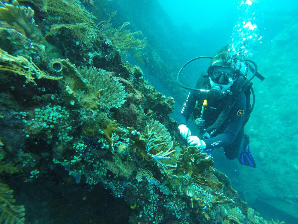 Ocean View Tulamben Dive & Resort Esterno foto