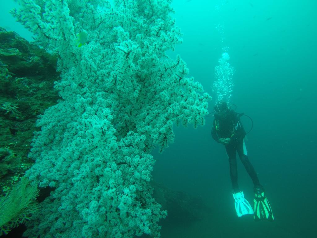 Ocean View Tulamben Dive & Resort Esterno foto
