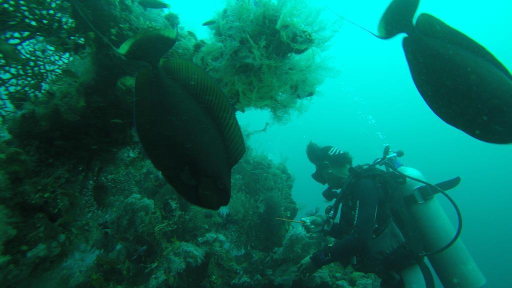 Ocean View Tulamben Dive & Resort Esterno foto